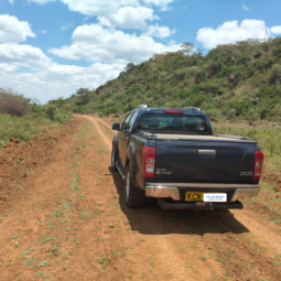 
										2010 Toyota Mark X full									