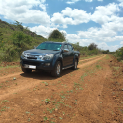 
										2010 Toyota Mark X full									