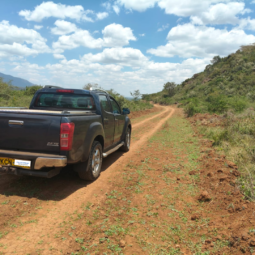 
										2010 Toyota Mark X full									