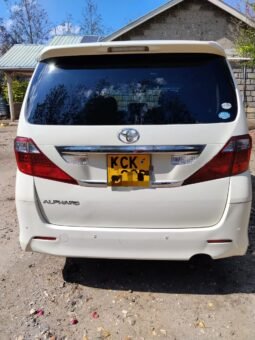 
										2009 Toyota Alphard full									