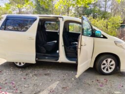 
										2009 Toyota Alphard full									