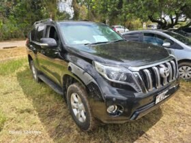 2012 Toyota Land Cruiser Prado