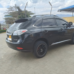 
										2010 Lexus RX 450h full									