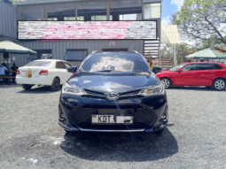 Toyota Fielder 2019 WXB