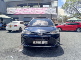 Toyota Fielder 2019 WXB