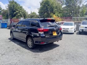 Toyota Fielder 2019 WXB