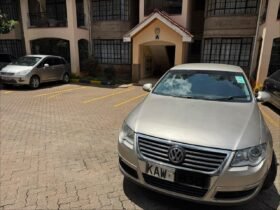 Volkswagen Passat 2013