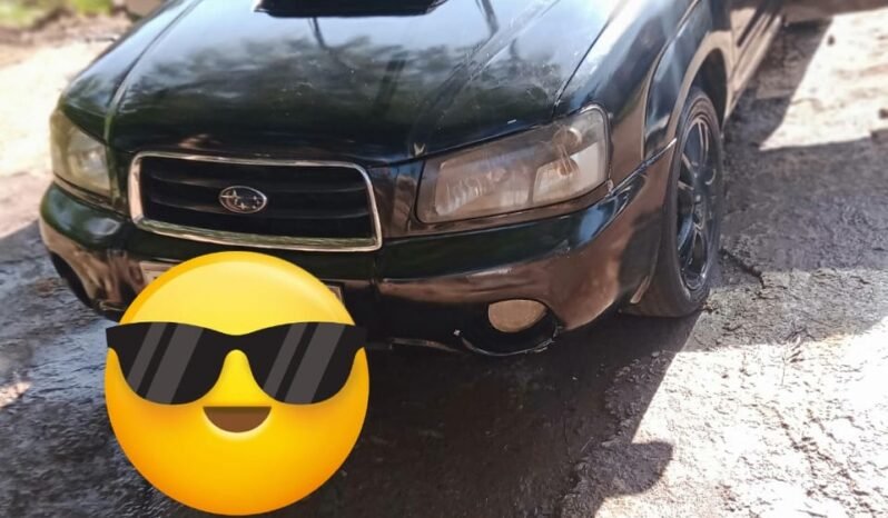 
								Subaru Forester 2004 full									