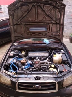 
										Subaru Forester 2004 full									