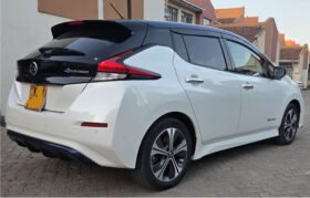 2019 Nissan Leaf S